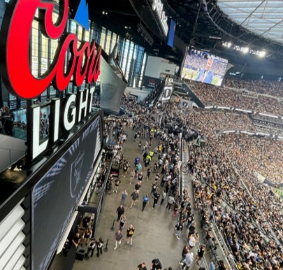 Allegiant Stadium overview